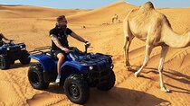 Luxor Quad Biking Safari, Camel & Felucca Cruise on the Nile 