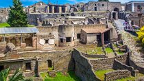 Half Day Pompeii Naples Private Tour
