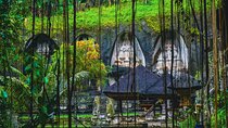 Highlight of Central Bali