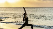 Full Day Private Relaxation and Wellness Retreat in Safaga