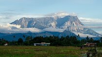 Kota Kinabalu to Kundasang Private Day Tour and Poring Hot SPA
