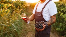 Day Trip; Grass, Gourdon and Wine Tasting
