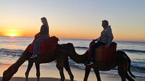 Adventure day in Tangier + free photography