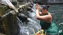 Ubud Rice Terrace Swing Waterfall Private Guided Tour