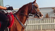 Doha-Private Half Day Safari with Horse Ride/Camel Ride/sandboard