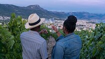 Vineyard Experience: Wine Tasting near Split