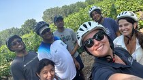 Full Day E-bike Tour in the Luberon Region from Aix en Provence