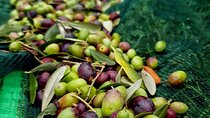E.V.O. oil of Lake Como tasting+ food pairings