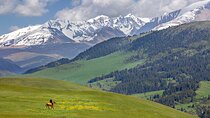 Full Day Private Tour in Assy Plateau