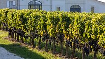 Full Day Private Nemea Wine Tour Experience from Athens 