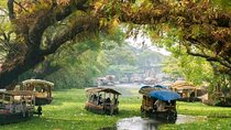 Coconut Lagoons, Paddies, Birds, & Fish Experience Tours