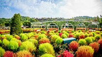 Private Tour Everland Theme Park Full Day from Seoul
