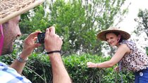 Private Excursion to Tea Village in Lost Town and Leshan Buddha