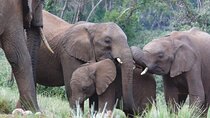 3 Days Aberdare National Park Safari