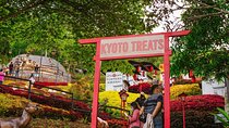 Cebu Highland Adventure with Dining Delights Tour