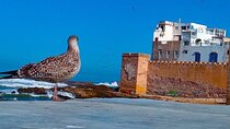 Day Trip to Essaouira from Marrakech 