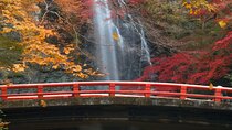 Minoo Park Adventure Private Tour: Nature, Temples & Coffee Bliss