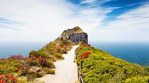 Cape Point and Boulder’s Penguin Private Adventure