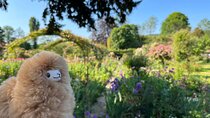 Giverny & Versailles Private Guided Tour with Ticket Entry
