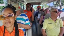 Biggvee Bus Adventure