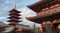 Private Tokyo Car Tour with English-Speaking Driver