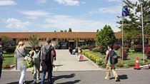 Kilimanjaro Airport Private Transfer from/to Moshi 