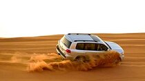 Desert Safari