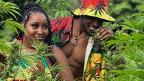 Montego Bay Exotic Herbs, Birds and Animals Interaction Tour