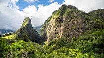 Golden Pineapples & Hidden Gems: A Private Upcountry Tour