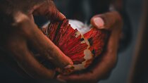 Half Day Cacao Farm and Guayaquil City Highlights Tour