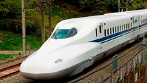 From Tokyo 1-Day Kyoto English-guided Tour by Bullet Train