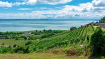 Full-Day Private Lake Balaton Wine Tour Experience from Budapest