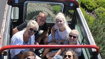 Full Day Tour in 4x4 Jeep to Porto Moniz and Fanal