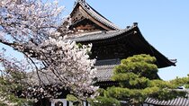 Tea Ceremony Experience & Nishiki Market Walking Tour 