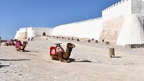 Agadir Private City Tour – Half-Day Guided Experienc