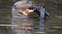 Manu National Park Tour 4 Days