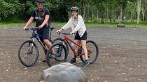 GALAPAGOS in ELECTRIC BICYCLE + Giant Turtles