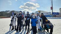 Full Day Ski Tour From Seoul to Yongpyong Ski Resort