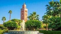 1/2 day Guided Medina Walking Tour & Souks 