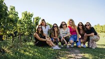 Full Day Tour Saint Emilion with lunch two Chateaux and Village 