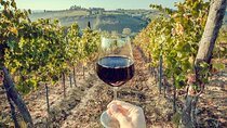 Private Lisbon Arrabida Wine Tour: Food & Wines, Mountain and Sea