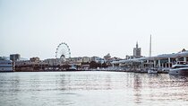 Private Tour of Essential Malaga