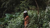 Private Road To Hana Tour with Professional Photos Included