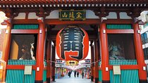 Dynamic Tokyo: Tokyo Tower, Tea Experience, Bay Cruise Day Tour