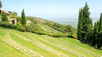 Full Day Private Mtskheta Region Wine Tour from Tbilisi