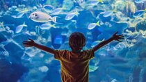 Private Tour Cebu Ocean Park