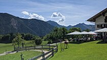 Light Hiking Tour in the Bavarian Alps from Munich