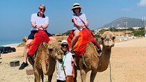 TANGIER PRIVATE TOUR: Highlights, Camels & Old Town 