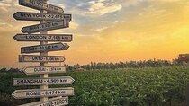 2 Days Luxury Private Tour of the Wine Capital of India, Nashik