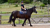 Horseback Riding Experience in Side 